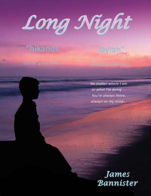 Long Night: The Flow de James Bannister