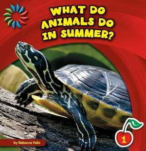 What Do Animals Do in Summer? de Rebecca Felix