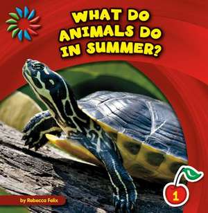 What Do Animals Do in Summer? de Rebecca Felix