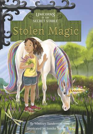 Unicorns of the Secret Stable: Stolen Magic: Book 3