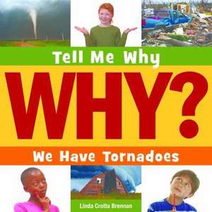 We Have Tornadoes de Linda Crotta Brennan