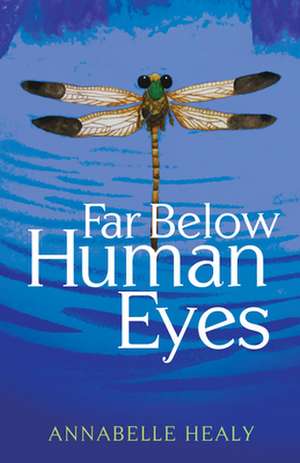 Far Below Human Eyes de Annabelle Healy