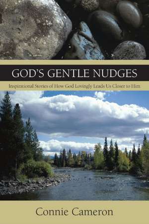 God's Gentle Nudges de Connie Cameron