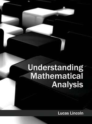 Understanding Mathematical Analysis de Lucas Lincoln