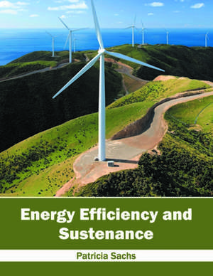 Energy Efficiency and Sustenance de Patricia Sachs