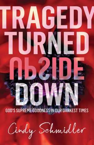 Tragedy Turned Upside Down de Cindy Schmidler