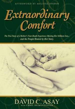 Extraordinary Comfort de David C. Asay