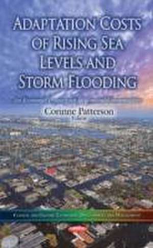 Adaptation Costs of Rising Sea Levels and Storm Flooding de Corinne Patterson