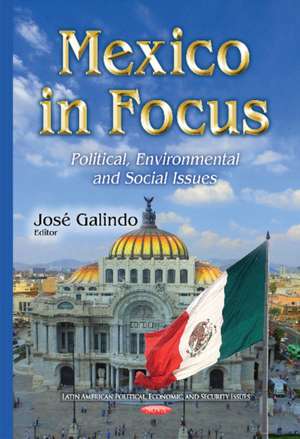 Mexico in Focus de Jose Galindo