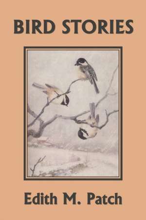 Bird Stories (Yesterday's Classics) de Edith M. Patch