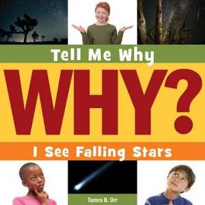 I See Falling Stars de Tamra B. Orr