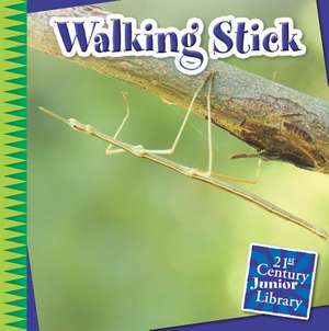 Orr, T: Walking Stick