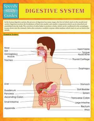 Digestive System (Speedy Study Guides) de Speedy Publishing Llc