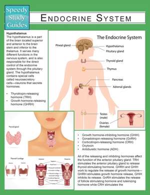 Endocrine System (Speedy Study Guide) de Speedy Publishing Llc