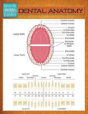 Dental Anatomy (Speedy Study Guide) de Speedy Publishing LLC