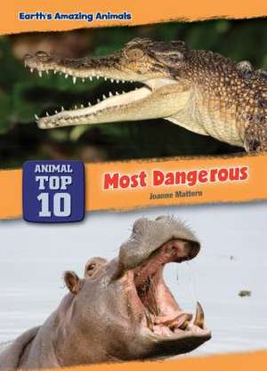 Most Dangerous de Joanne Mattern