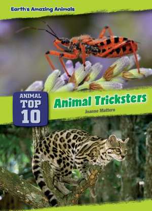 Animal Tricksters de Joanne Mattern