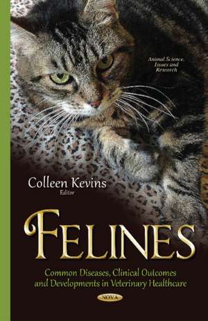 Felines de Colleen Kevins