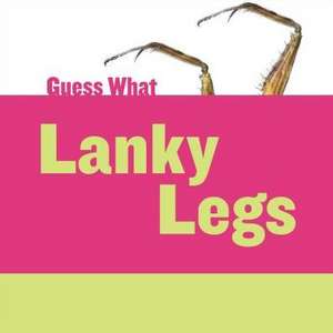 Lanky Legs: Praying Mantis de Felicia Macheske