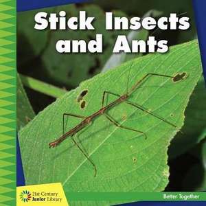 Stick Insects and Ants de Kevin Cunningham