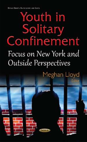 Youth in Solitary Confinement: Focus on New York & Outside Perspectives de Meghan Lloyd