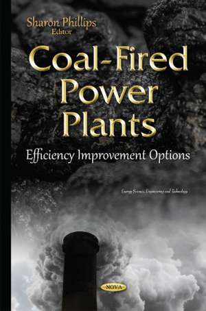 Coal-Fired Power Plants: Efficiency Improvement Options de Sharon Phillips