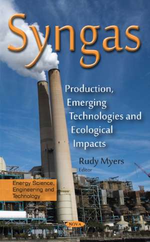 Syngas: Production, Emerging Technologies & Ecological Impacts de Rudy Myers