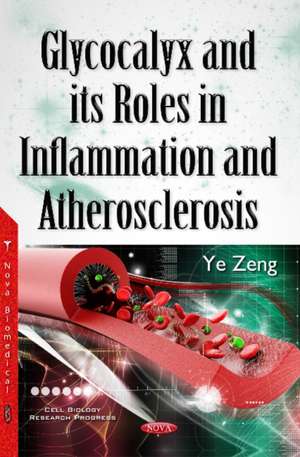 Glycocalyx & its Roles in Inflammation & Atherosclerosis de Ye Zeng