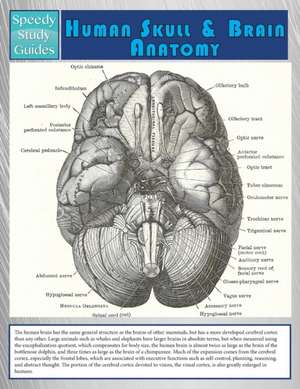 Human Skull and Brain Anatomy (Speedy Study Guide): Tips on Starting Your Own Profitable Home Business de Speedy Publishing LLC