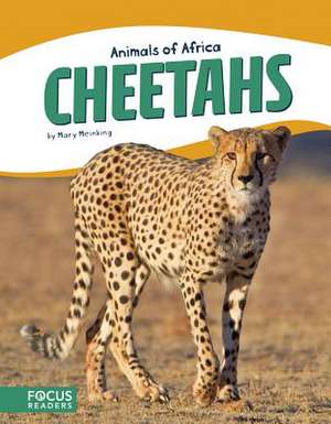 Cheetahs de Mary Meinking