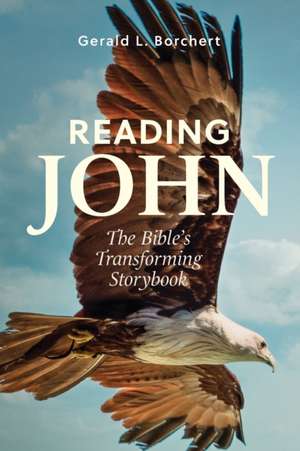 Reading John de Gerald Borchert