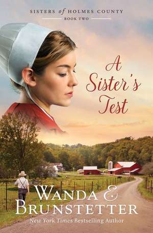 A Sister's Test de Wanda E. Brunstetter