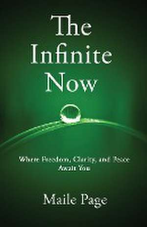 The Infinite Now de Maile Page