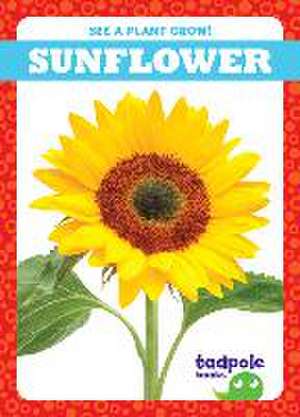 Sunflower de Charlie W Sterling