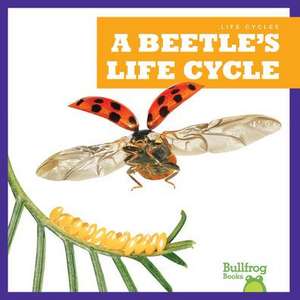 A Beetle's Life Cycle de Jamie Rice