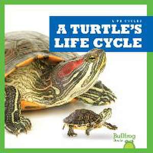 A Turtle's Life Cycle de Jamie Rice