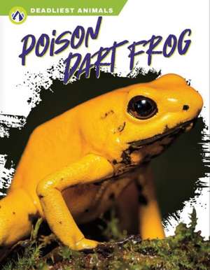 Poison Dart Frog de Golriz Golkar