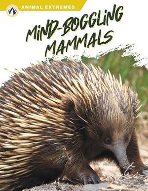 Mind-Boggling Mammals de Libby Wilson