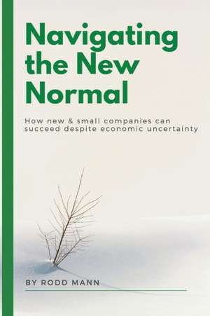 Navigating the New Normal de Rodd Mann