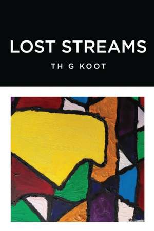 Lost Streams de Th G Koot