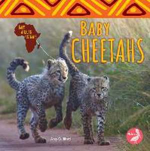 Baby Cheetahs de Amy Culliford