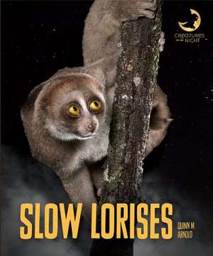 Slow Lorises de Quinn M Arnold