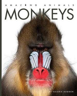 Monkeys de Valerie Bodden