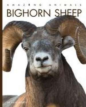 Bighorn Sheep de Kate Riggs