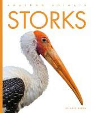 Storks de Kate Riggs