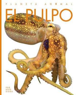 El Pulpo de Valerie Bodden