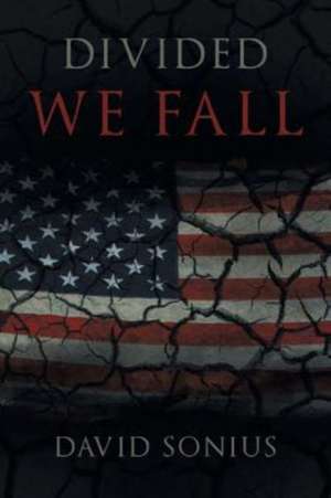 Divided We Fall de David Sonius