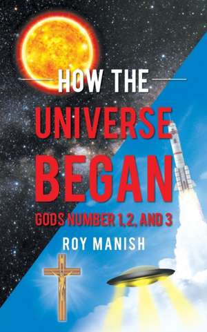 How the Universe Began de Roy Manish