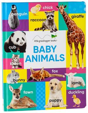 Baby Animals (Large Padded Board Book) de Little Grasshopper Books