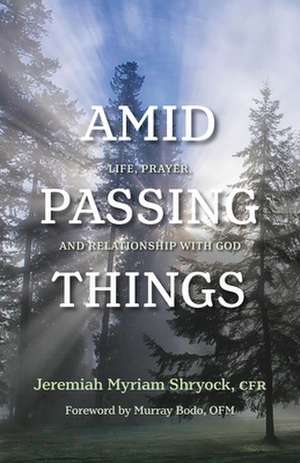 Amid Passing Things de Jeremiah Shryock